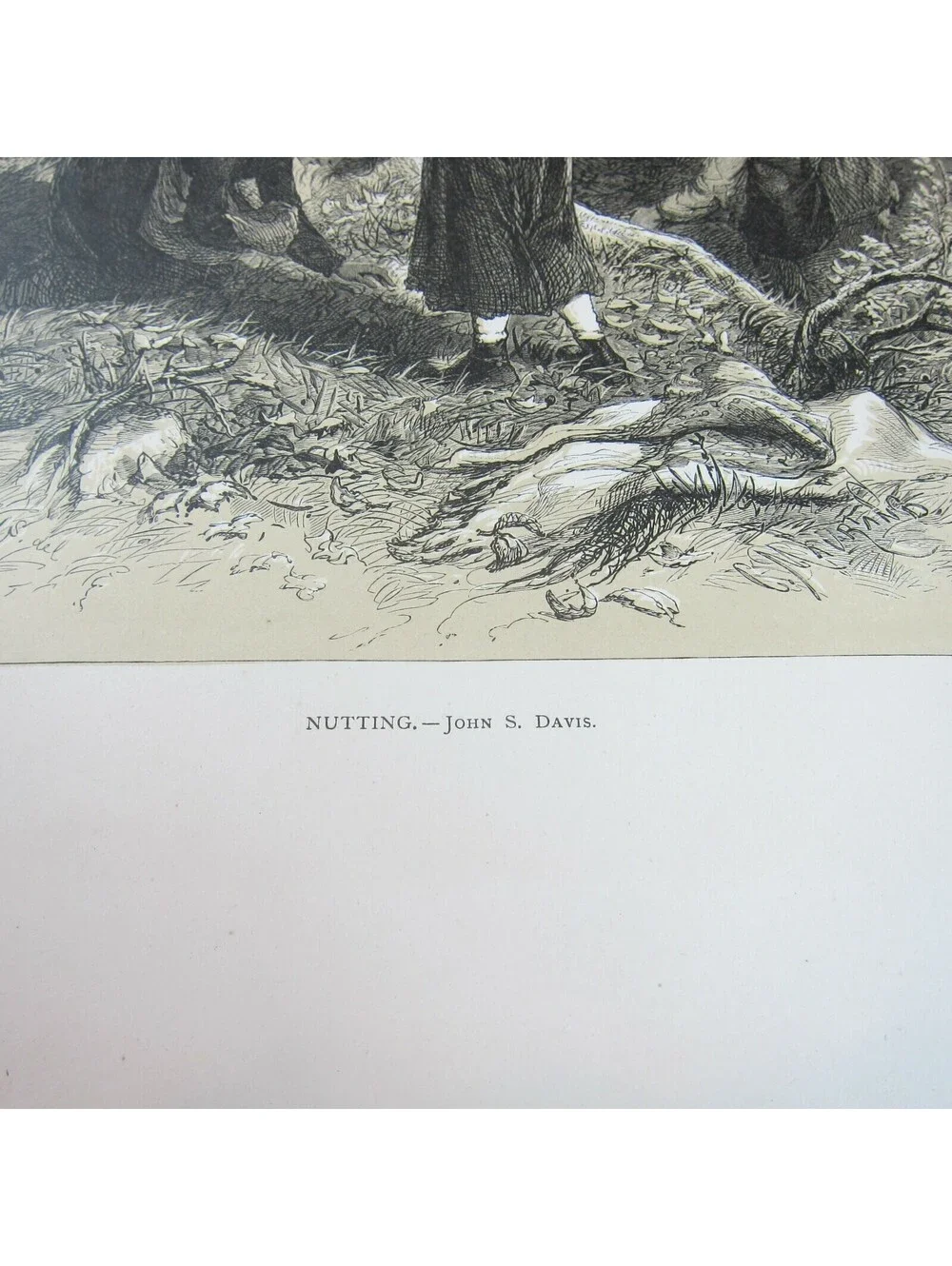 Antique 1873 Wood Engraving Print Nutting by John S. Davis, The Aldine, Children